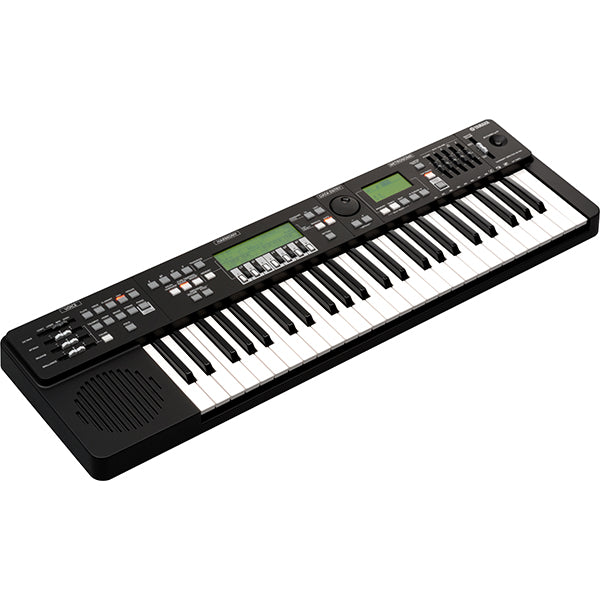 Yamaha HD-200 49 Key Instructional Keyboard Harmony Director (HD200 HD 200)