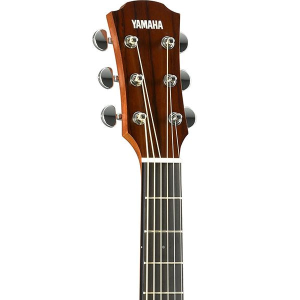Yamaha AC3R ARE 41 Inch Concert Cutaway Solid Sitka Spruce Top Acoustic-Electric Guitar With Pickup - Vintage Natural