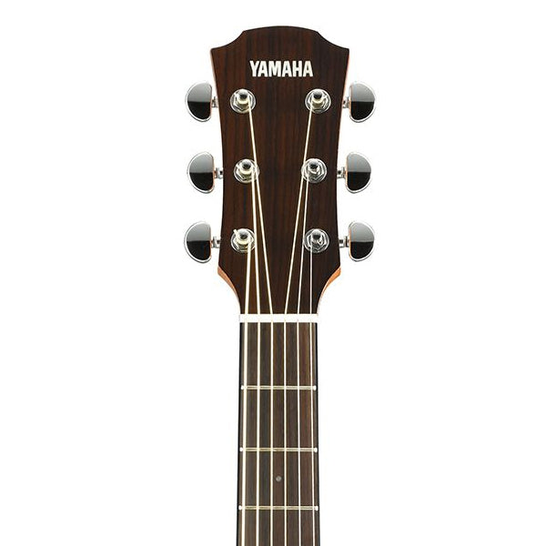 Yamaha AC1M 40 Inch Concert Cutaway Solid Sitka Spruce Top Acoustic Electric Guitar- Natural