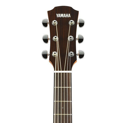 Yamaha AC1M 40 Inch Concert Cutaway Solid Sitka Spruce Top Acoustic Electric Guitar- Natural