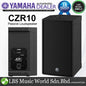 Yamaha CZR10 700 Watt 10" 2 Way with Bass Reflex Lightweight Passive Speaker