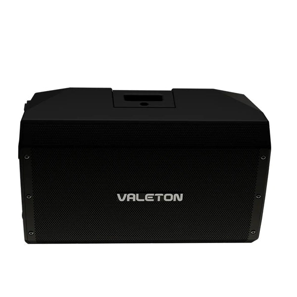 Valeton VFR-110 FRFR 1300 Watt Active Full Range Speaker Cabinet with Bluetooth and Usb Input (VFR110)