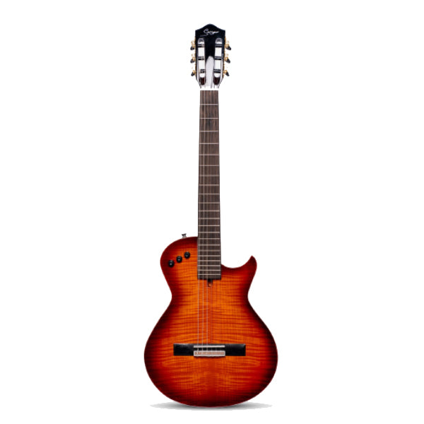Smiger LE-C2 Okoume Body Flamed Maple Top Silent Classical Guitar With Alice String - Package
