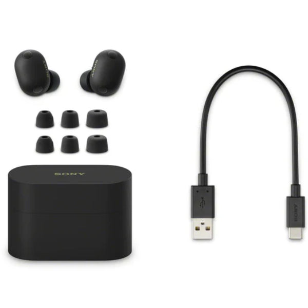 Sony WF-1000XM6 Truly Wireless Noise Cancelling Earbuds with Hi-Res Audio (WF1000XM6)