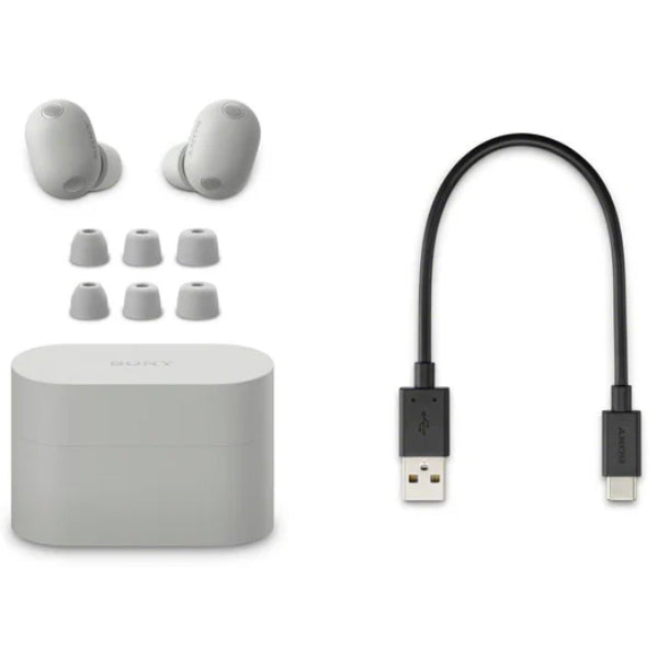 Sony WF-1000XM6 Truly Wireless Noise Cancelling Earbuds with Hi-Res Audio (WF1000XM6)