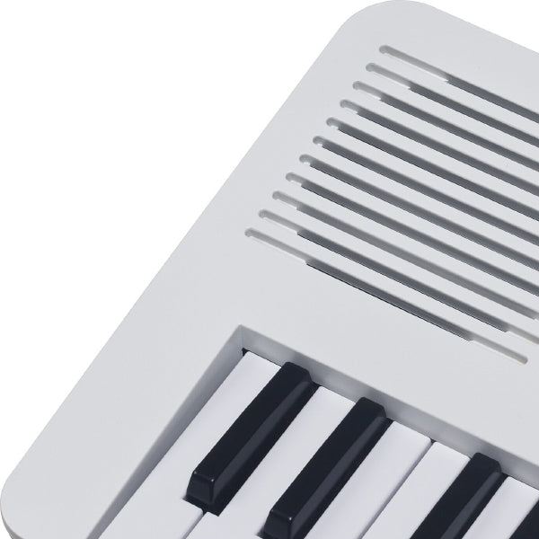 Medeli MK49 49 Keys Portable Keyboard Basic Package with Adapter
