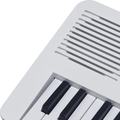Medeli MK49 49 Keys Portable Keyboard Basic Package with Adapter