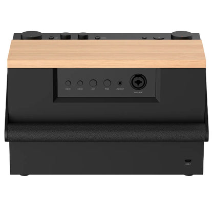 Fender Elie 12 120 Watt 4 Channel Portable Bluetooth Speaker with Built In Battery