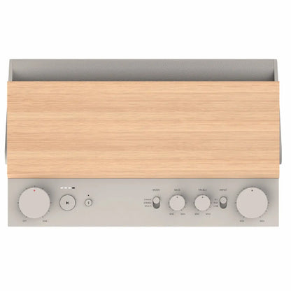 Fender Elie 12 120 Watt 4 Channel Portable Bluetooth Speaker with Built In Battery