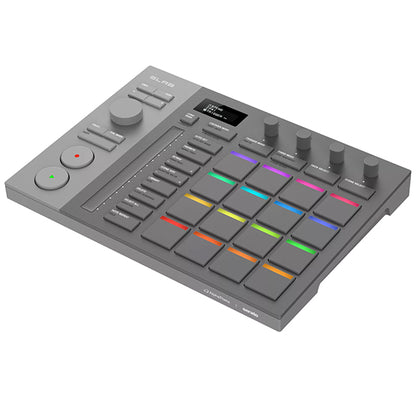 Pioneer DJ SLAB Portable MIDI Controller Pad for Serato Studio Sample and DJ Pro (DJSLAB)