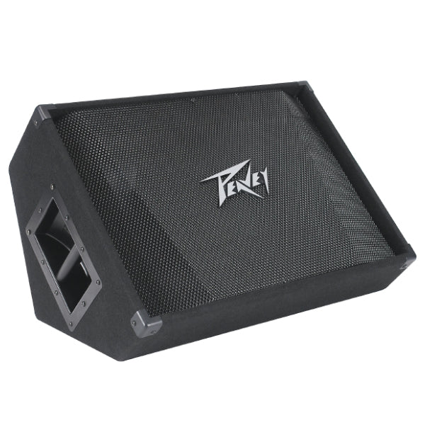 Peavey PV Series 500 Watt Passive Stage 2 Way Floor Monitor Loudspeaker (PV 12M / PV 15M)