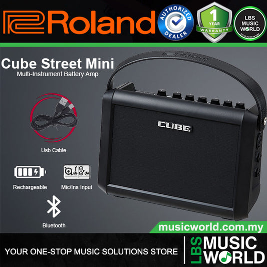 Roland CUBE Street MINI Multi Instrument Rechargeable Compact Amplifier All In One with Bluetooth