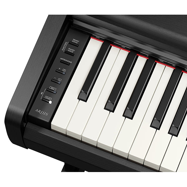 Yamaha YDP-146 Arius 88 Keys Digital Piano Complete Package (YDP145 YDP146)
