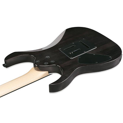 Ibanez GRG120QASP Poplar Body Electric Guitar HH Pickup with Tremolo (GRG120 QASP)