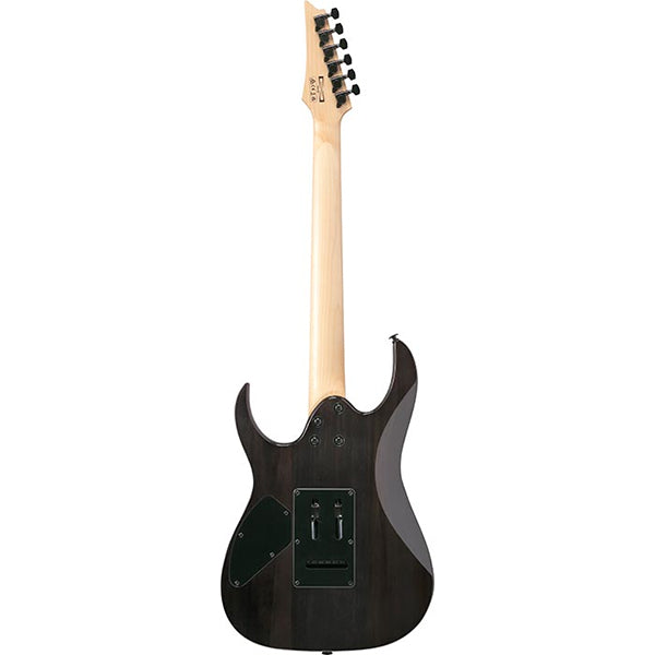 Ibanez GRG120QASP Poplar Body Electric Guitar HH Pickup with Tremolo (GRG120 QASP)