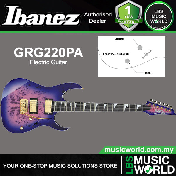 [Discontinued] Ibanez GRG220PA Okoume Body Electric Guitar With HH Pickup and Tremolo - Royal Purple Burst (GRG220 PA)