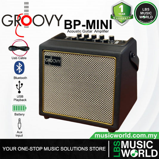 Groovy BP-MINI 30 Watt 6.5 Inch Powered Portable Acoustic Guitar Amplifier with Bluetooth (BPMINI)