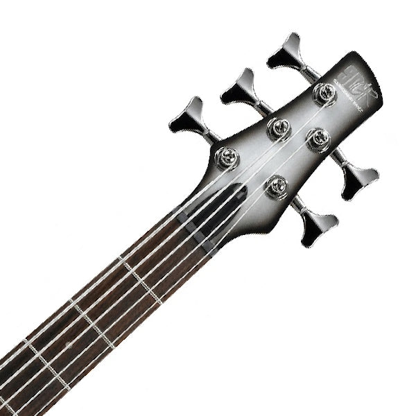 Ibanez SR305E 5 String Okoume Body Electric Bass Guitar with Jatoba Fretboard